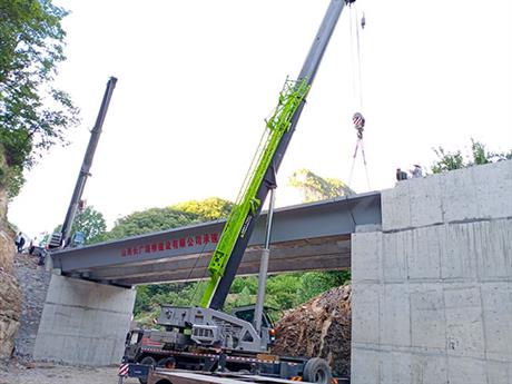 洛陽(yáng)吊車租賃-案例